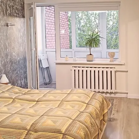3 *